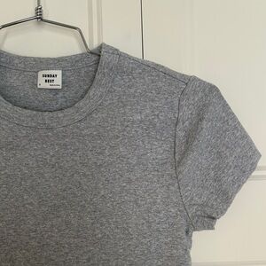 Aritizia Sunday Best Heather Gray Tee cropped